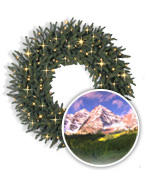 Aspen Christmas Signature&trade; Wreaths and Garlands Collection